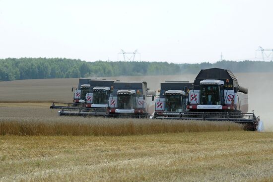Grain harvesting in Chelyabinsk Region