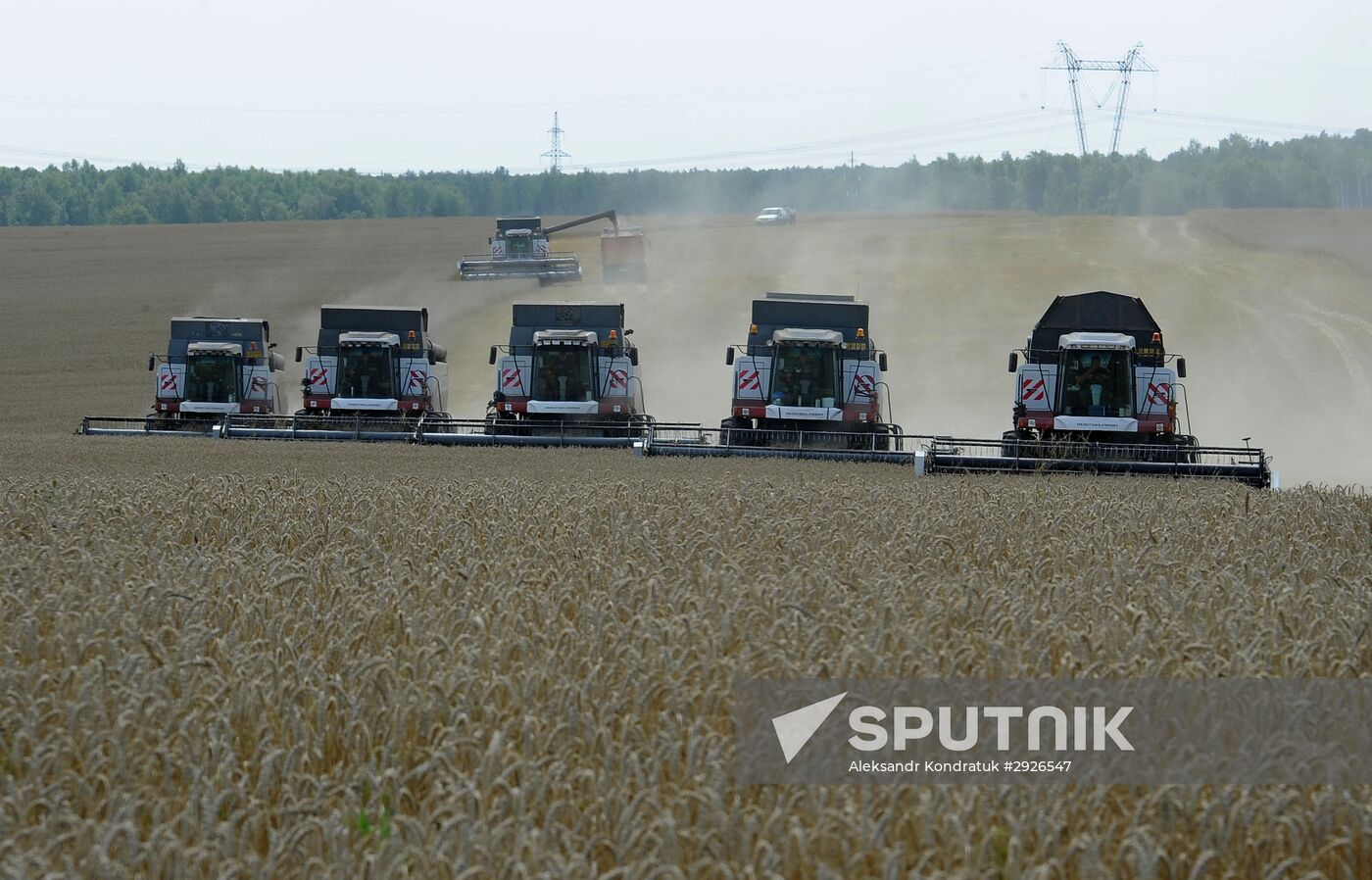 Grain harvesting in Chelyabinsk Region