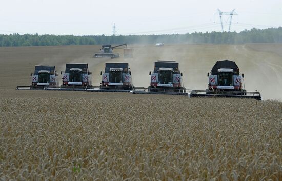 Grain harvesting in Chelyabinsk Region
