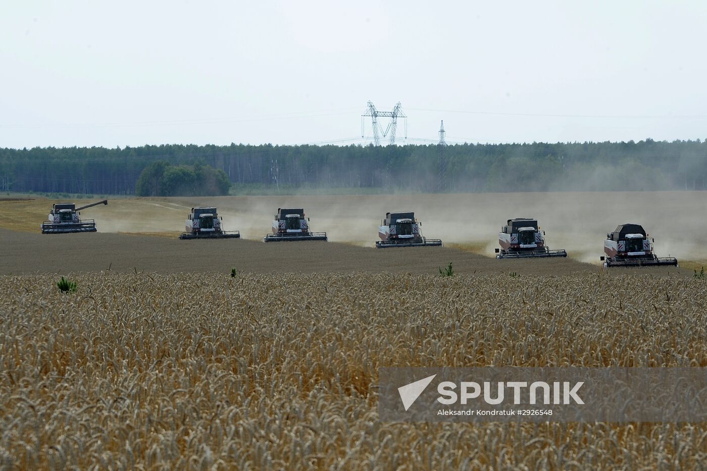 Grain harvesting in Chelyabinsk Region