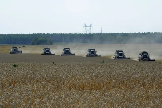 Grain harvesting in Chelyabinsk Region