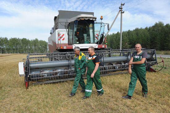 Grain harvesting in Chelyabinsk Region