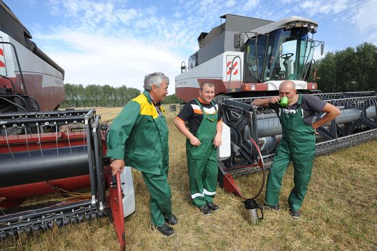 Grain harvesting in Chelyabinsk Region