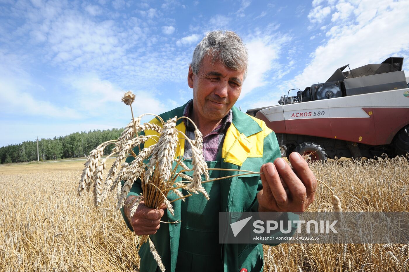 Grain harvesting in Chelyabinsk Region