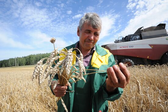Grain harvesting in Chelyabinsk Region