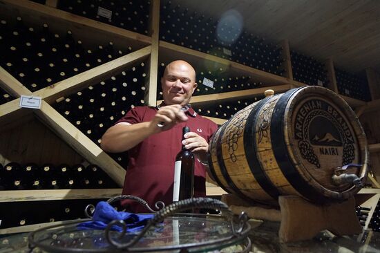 Winemaking in Rostov Region