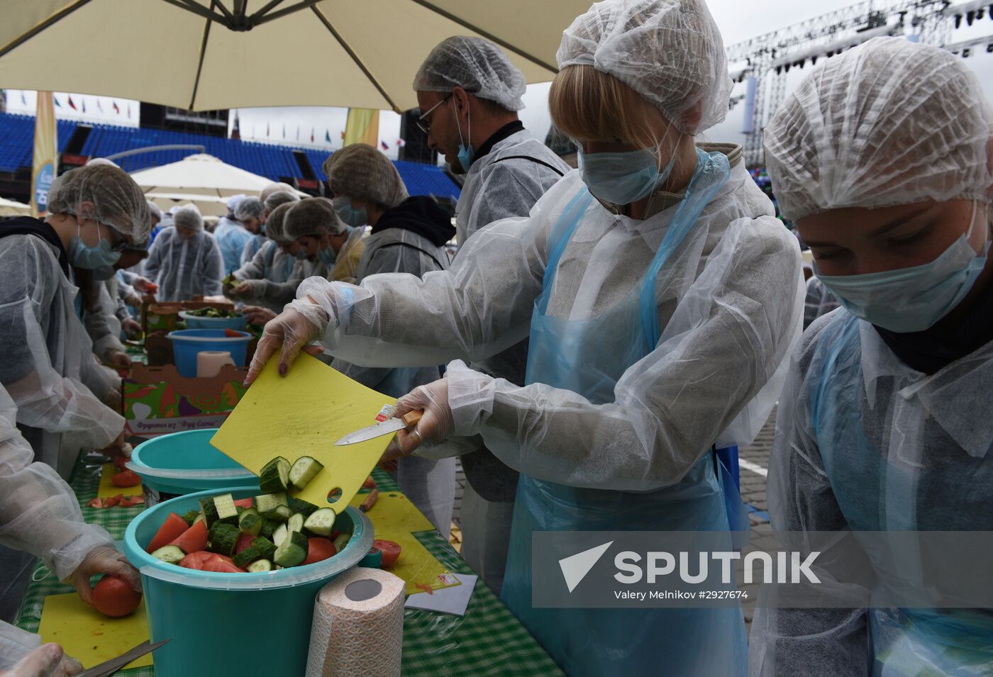 Greek salad festival as part of the Russia-Greece and Greece-Russia cross-cultural year