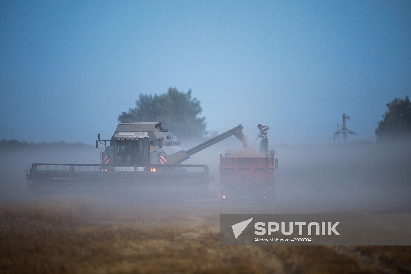 Wheat harvest in Omsk Region