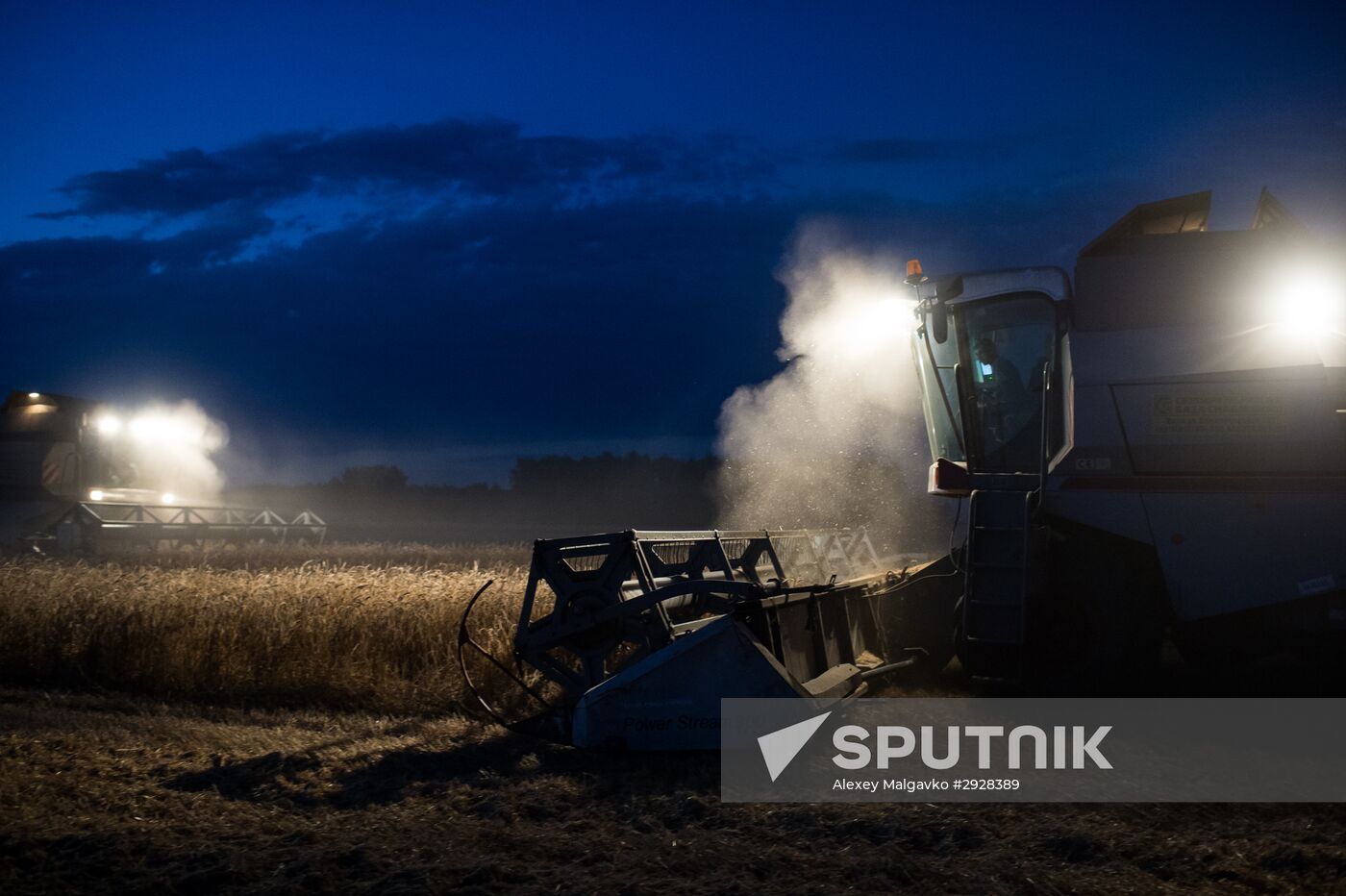 Wheat harvest in Omsk Region