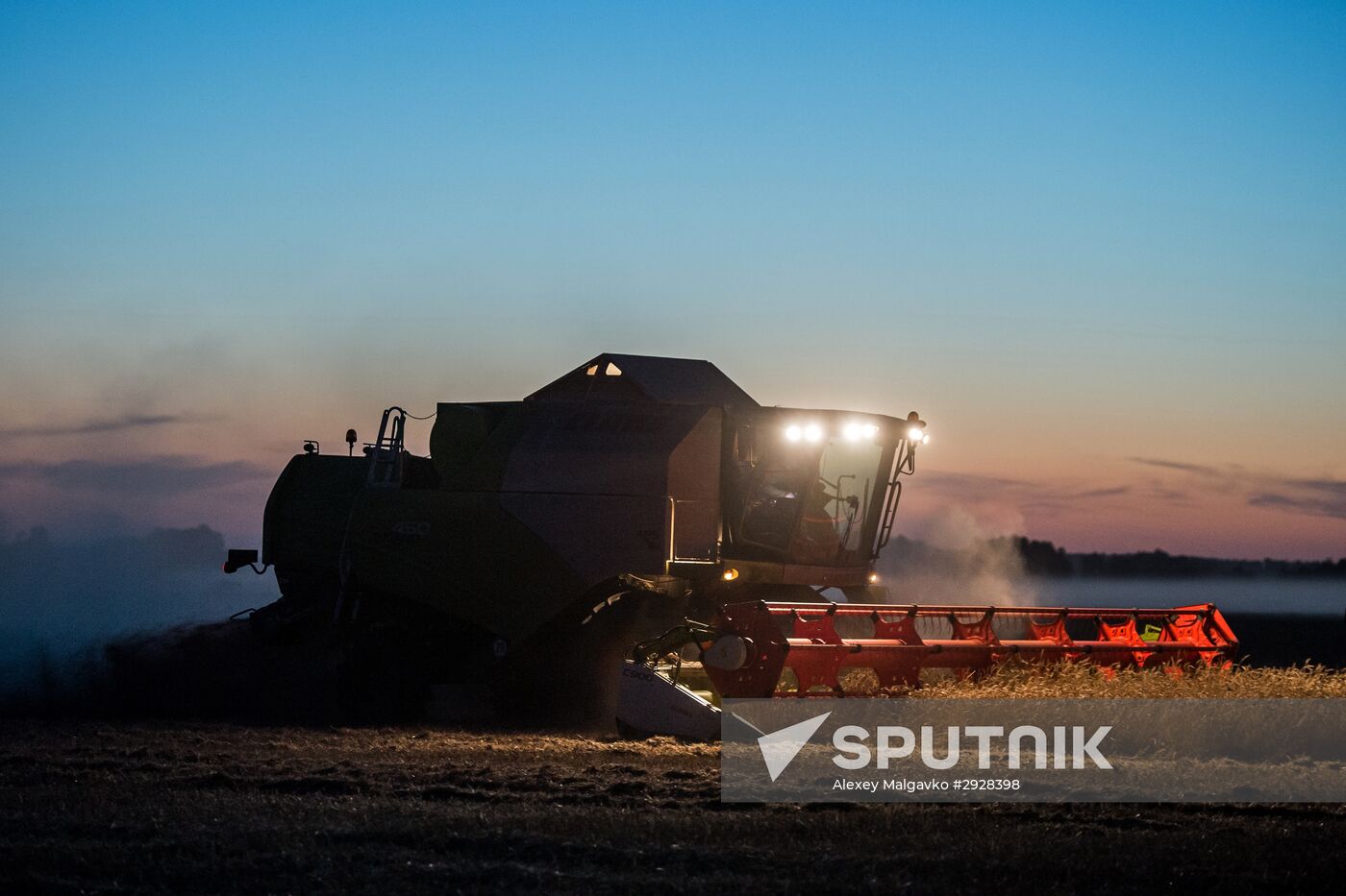 Wheat harvest in Omsk Region