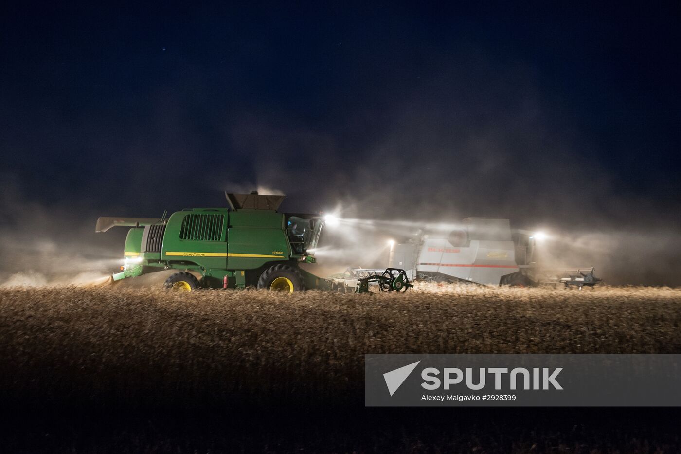 Wheat harvest in Omsk Region