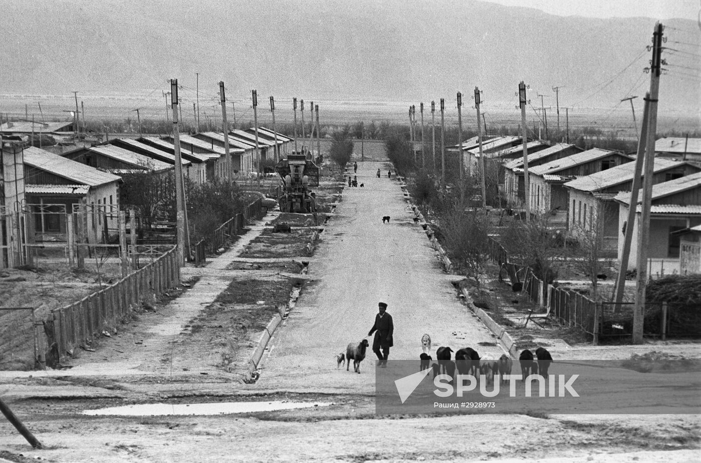 Virgin land reclamation in the Beshkent valley