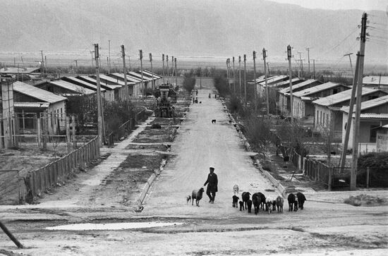 Virgin land reclamation in the Beshkent valley