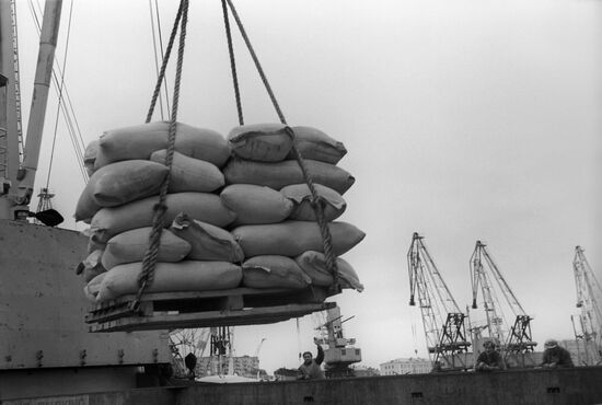 Ho Chi Minh ship at the port of Vladivostok