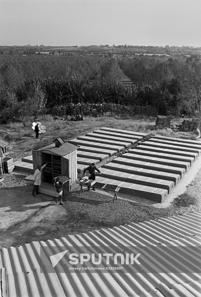 Solar dehydration plant