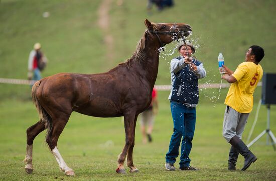 2016 World Nomad Games