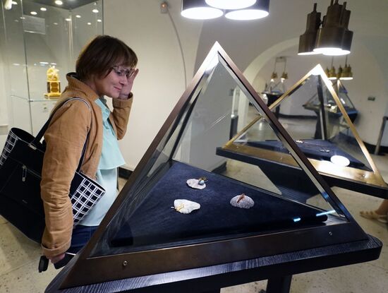 Amber Stages of History exhitibion in Kaliningrad