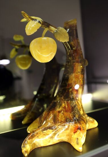 Amber Stages of History exhitibion in Kaliningrad