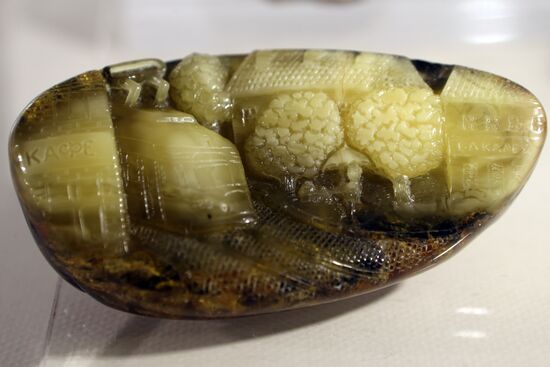 Amber Stages of History exhitibion in Kaliningrad