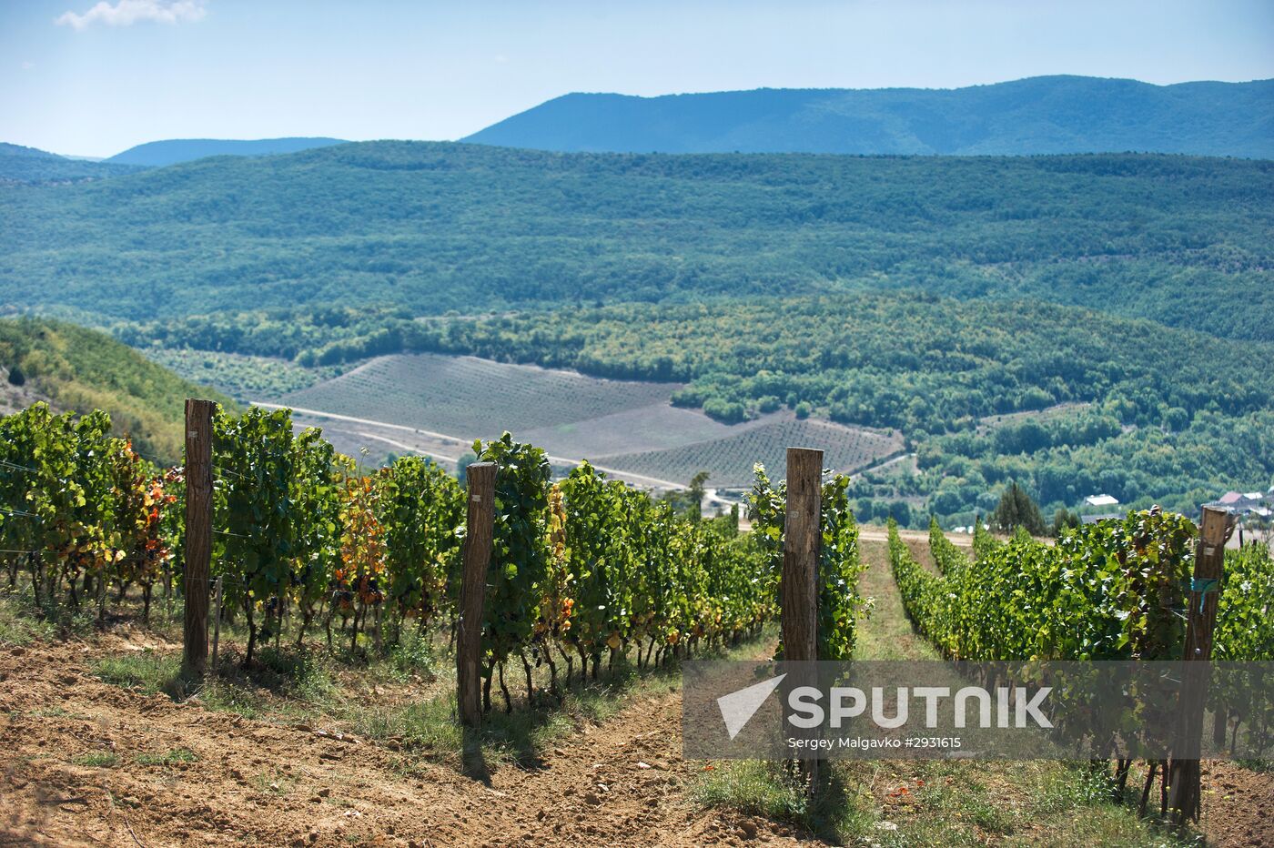 UPPA Winery in Crimea