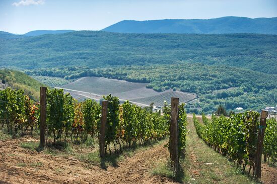 UPPA Winery in Crimea