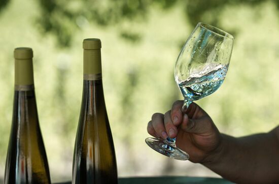UPPA Winery in Crimea
