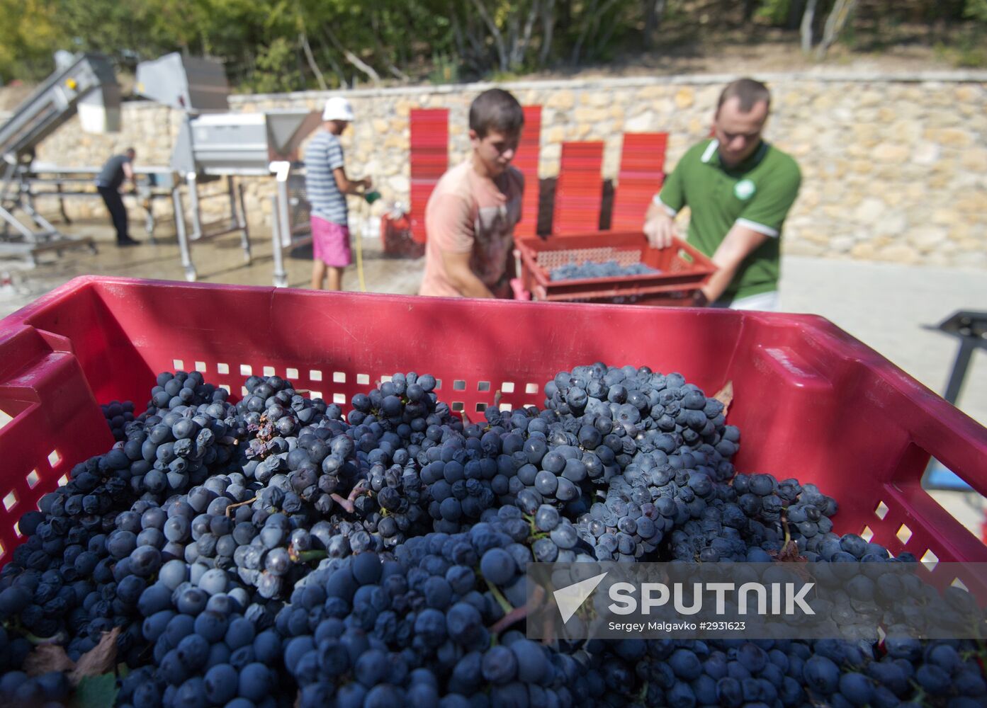 UPPA Winery in Crimea