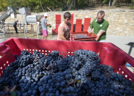 UPPA Winery in Crimea