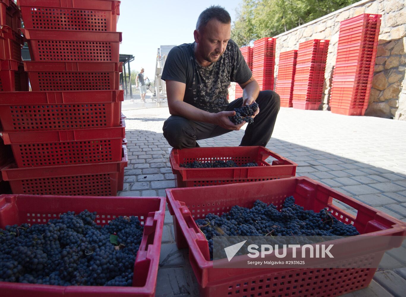 UPPA Winery in Crimea