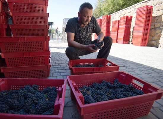 UPPA Winery in Crimea