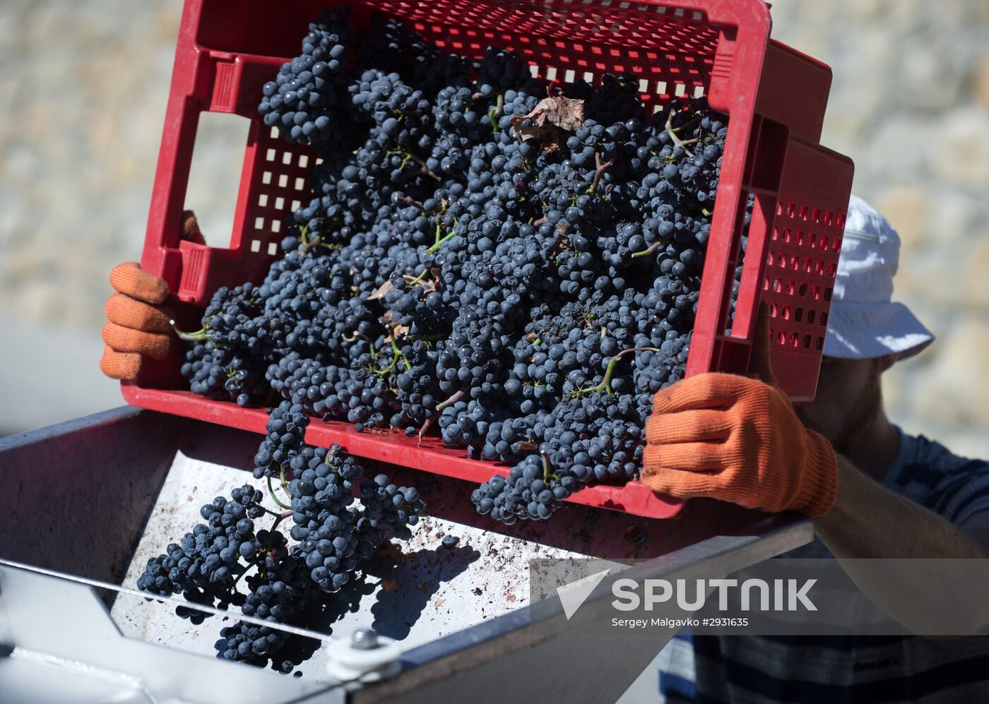 UPPA Winery in Crimea