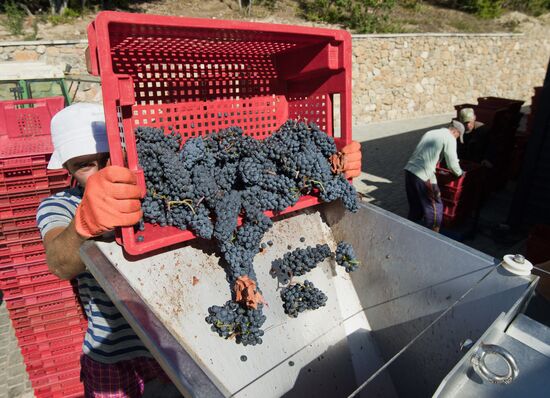 UPPA Winery in Crimea