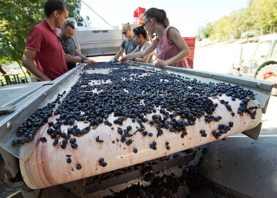 UPPA Winery in Crimea
