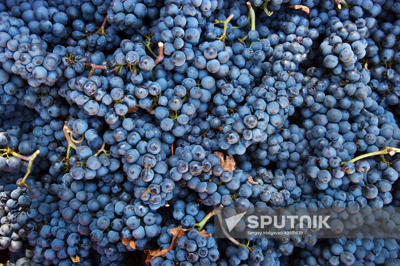 UPPA Winery in Crimea