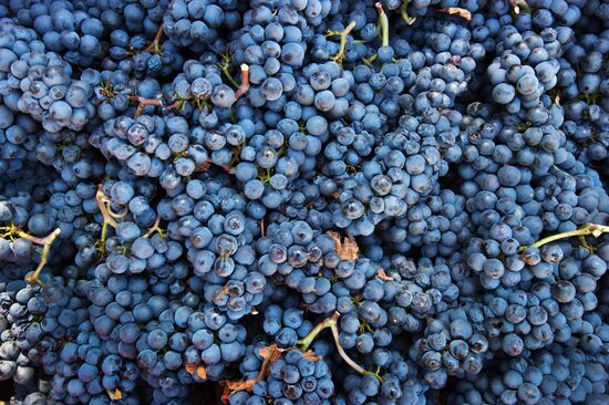UPPA Winery in Crimea