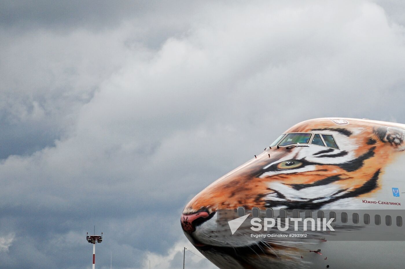 Unveiling of Boeing 747-400 tiger livery