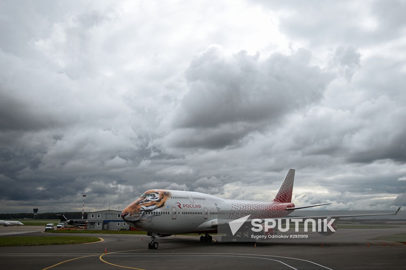 Unveiling of Boeing 747-400 tiger livery