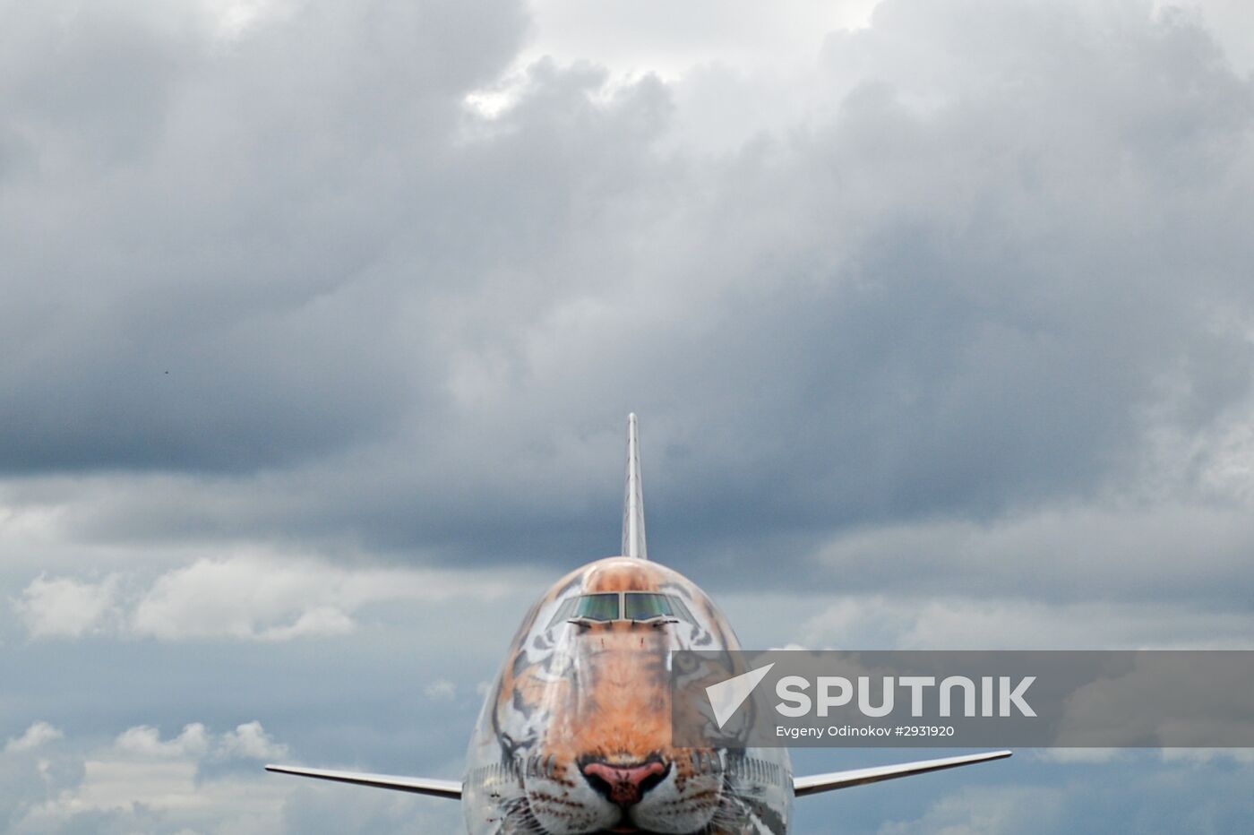 Unveiling of Boeing 747-400 tiger livery