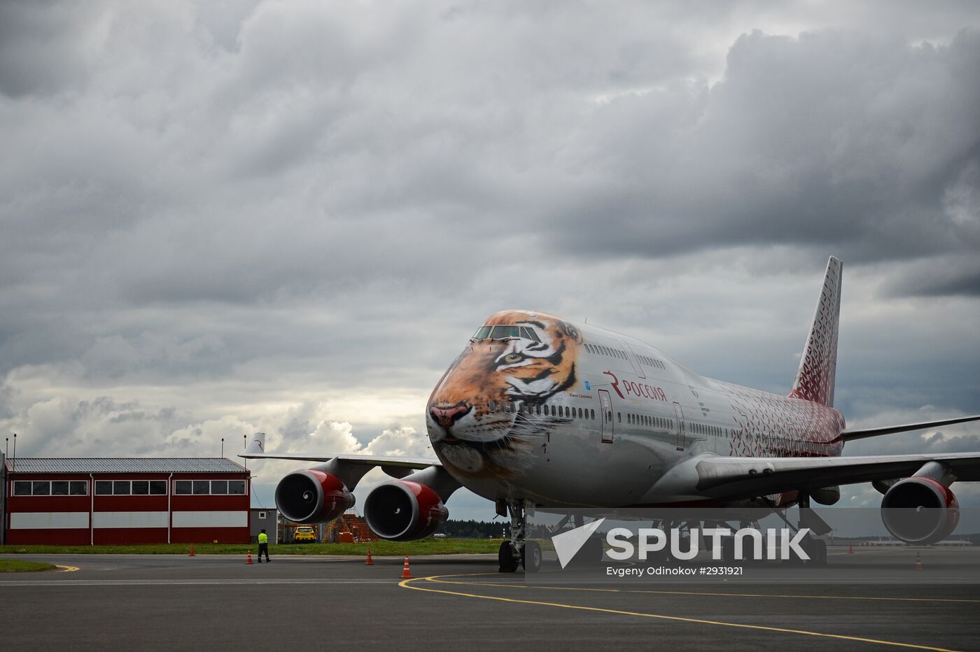 Unveiling of Boeing 747-400 tiger livery