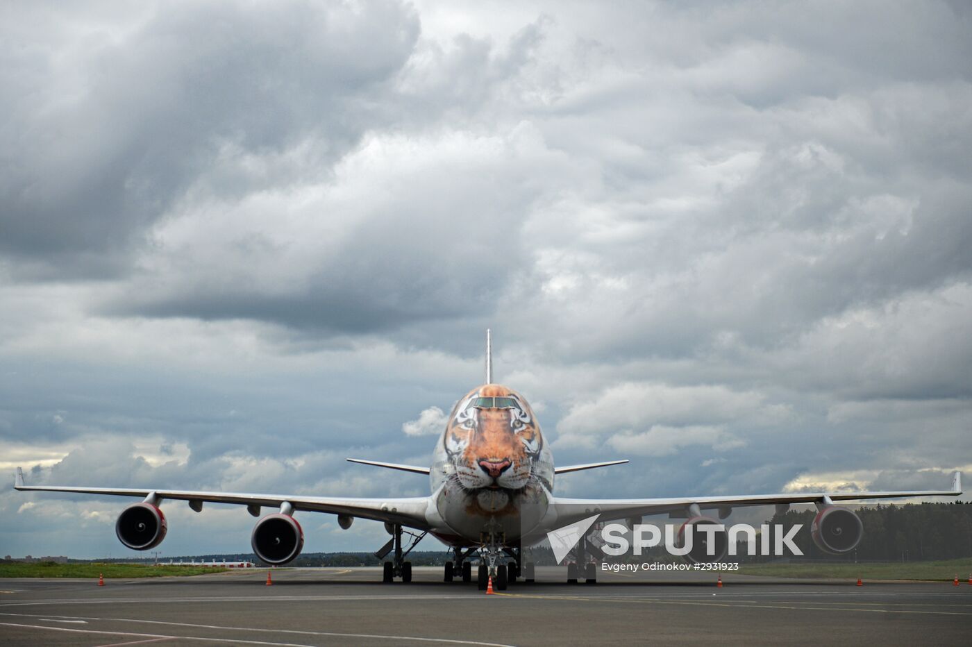 Unveiling of Boeing 747-400 tiger livery