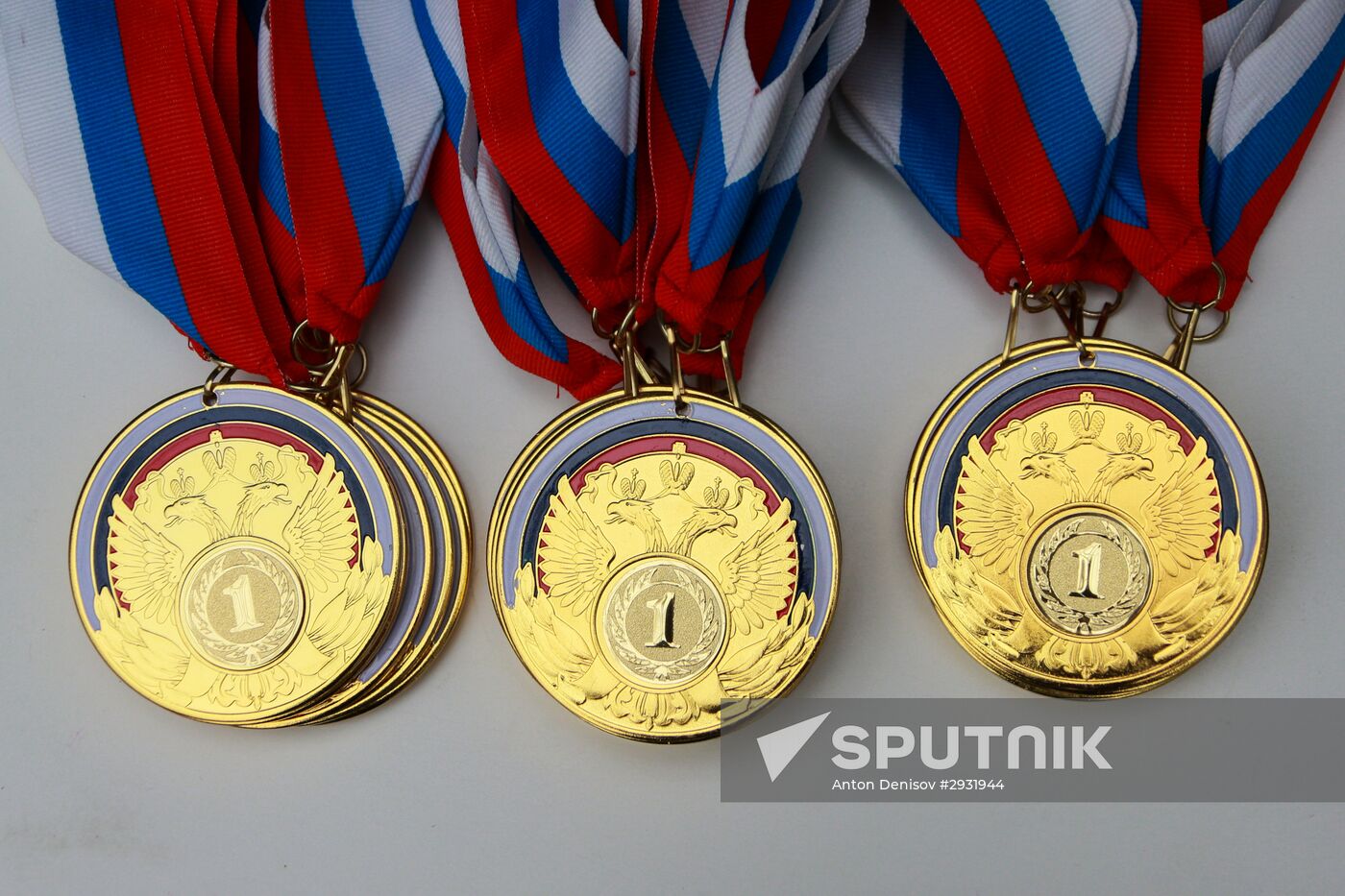 Russian Paralympic Games. Day two