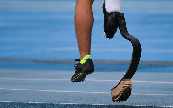 Russian Paralympic Games. Day Two