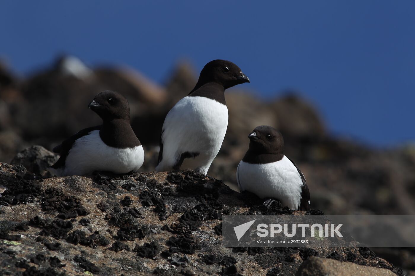 Russian Arctic National Park expedition