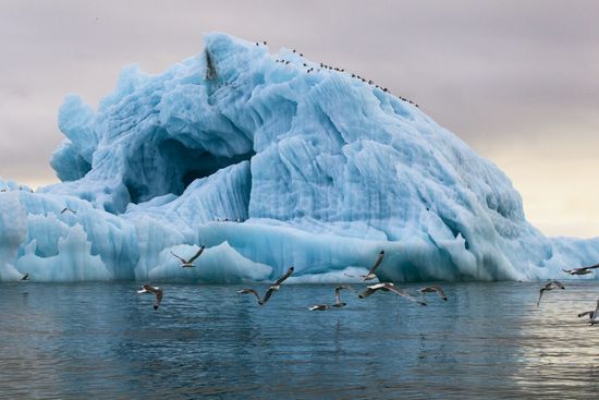 Russian Arctic National Park expedition