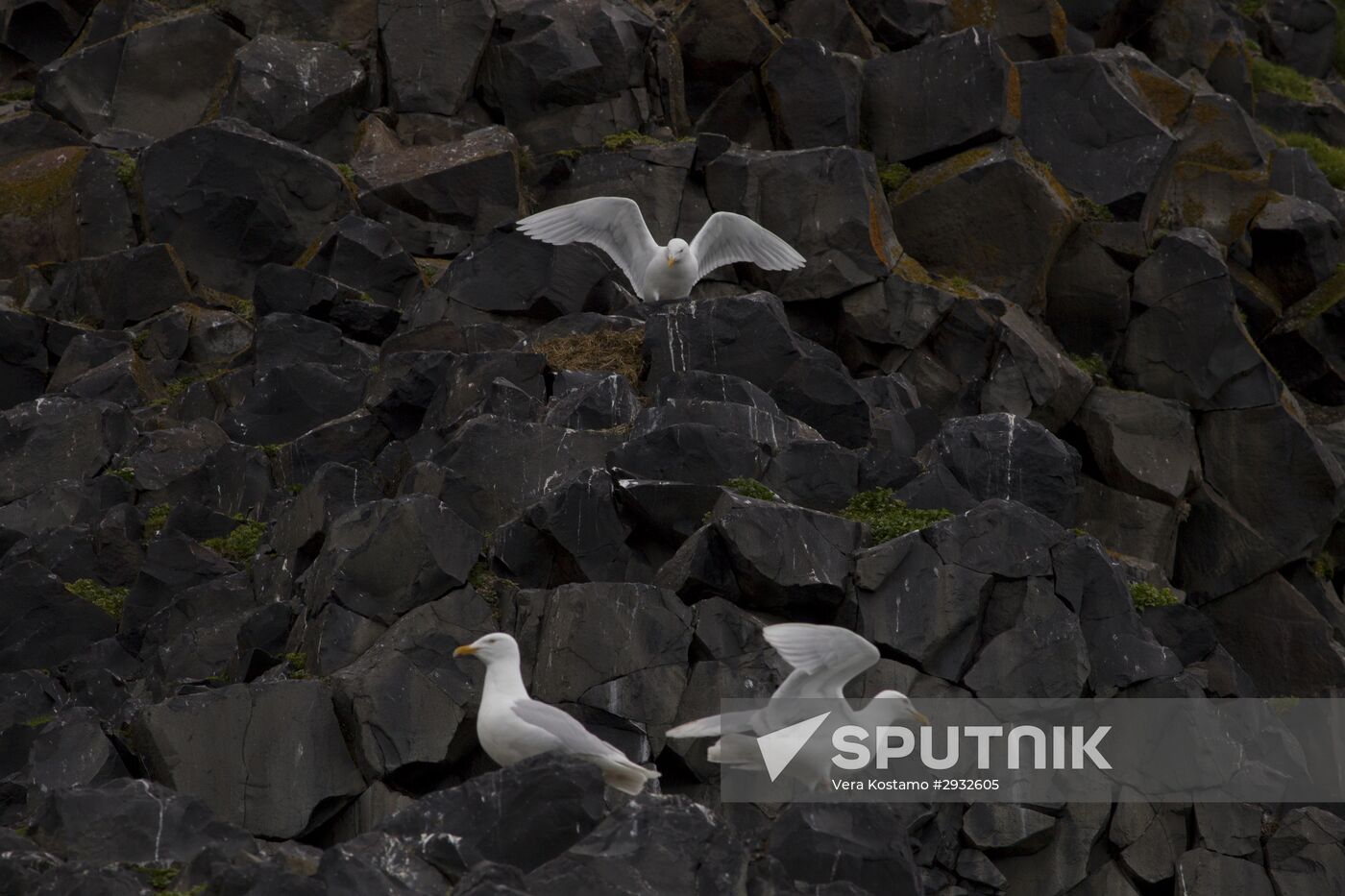 Russian Arctic National Park expedition