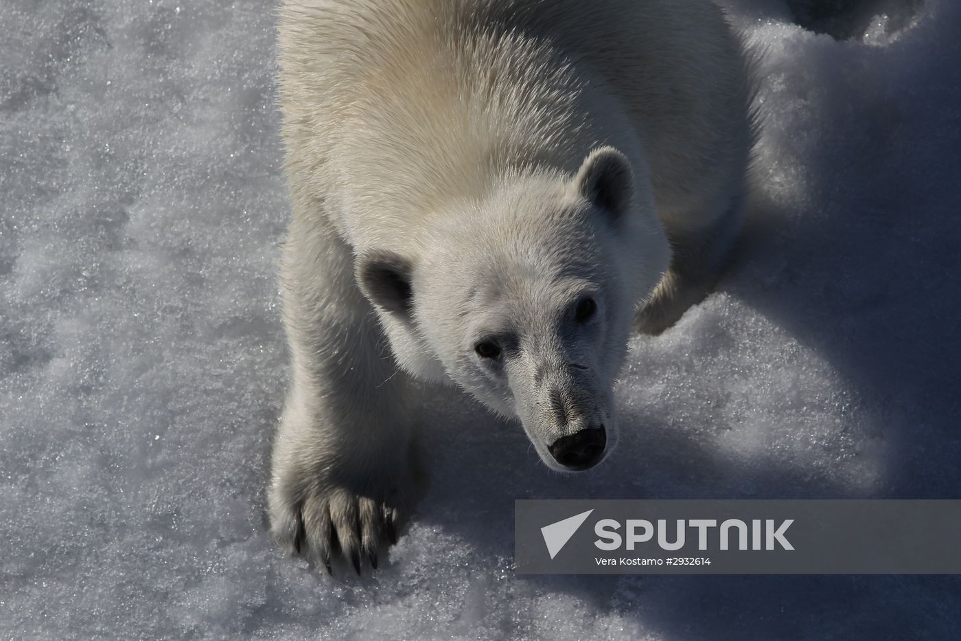 Russian Arctic National Park expedition