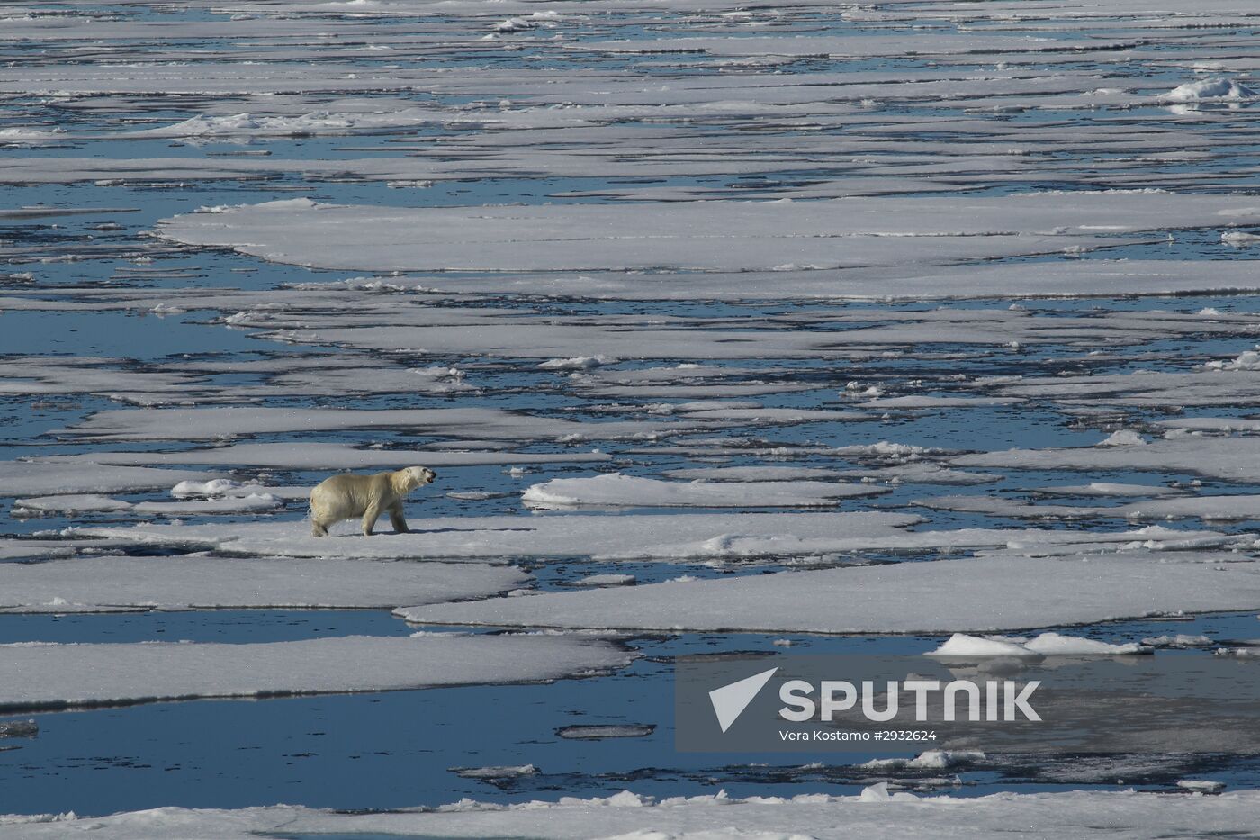 Russian Arctic National Park expedition