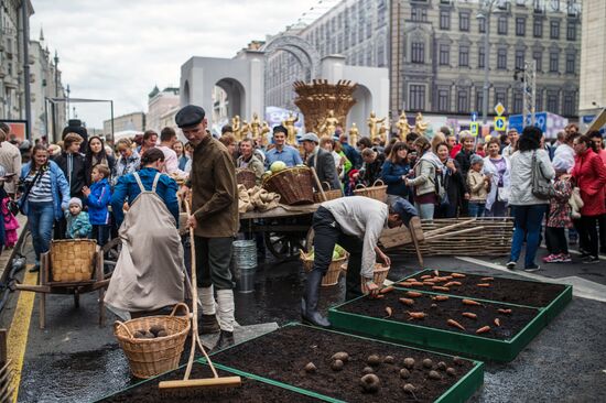 City Day festivities