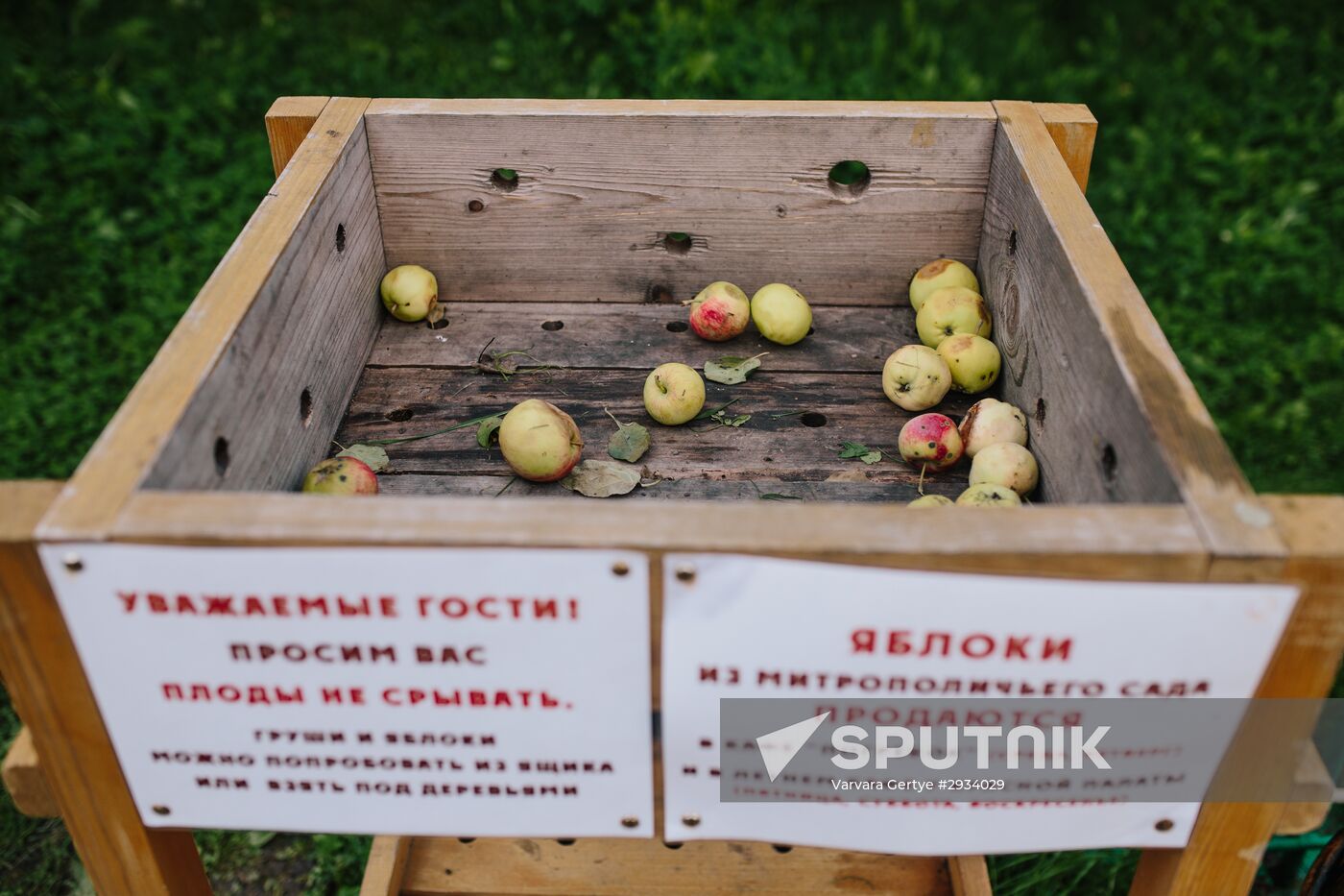 Russian cities. Rostov Veliky