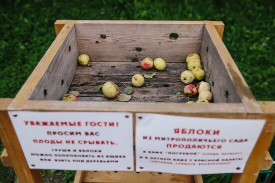 Russian cities. Rostov Veliky